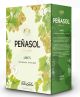 Peñasol Airen Blanco BiB 3,0l